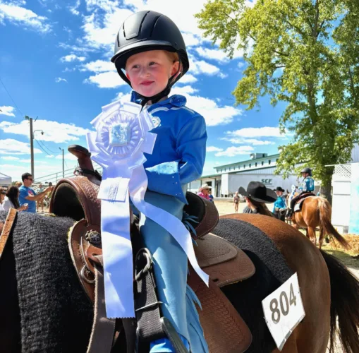 Canfield Fair gallops to its conclusion with horse show